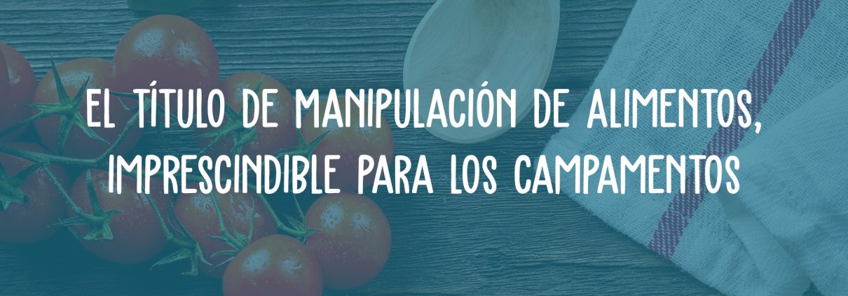 manipulador alimentos