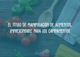 manipulador alimentos