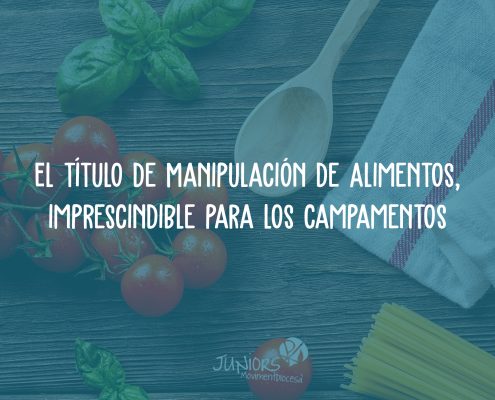 manipulador alimentos