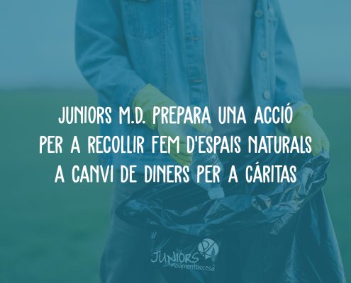 voluntariat mediambiental