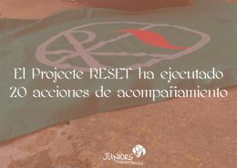 projecte reset