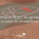 projecte reset