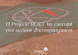 projecte reset