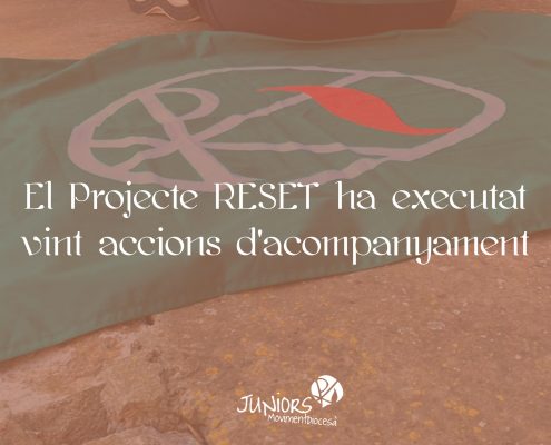 projecte reset