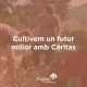 cultivem futur millor