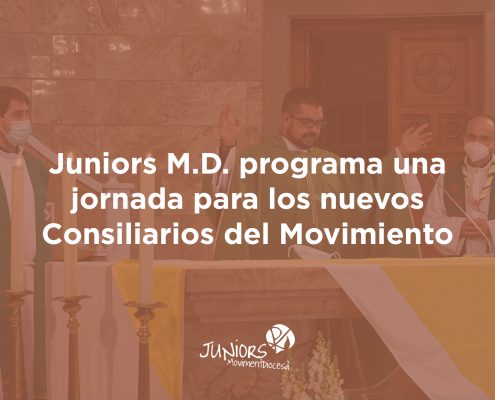 nuevos consiliarios cast