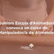 curso manipulador