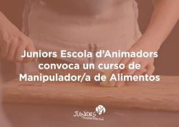 curso manipulador