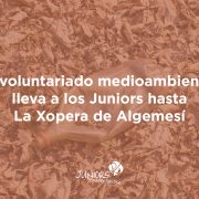 voluntariat mediambiental