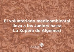 voluntariat mediambiental