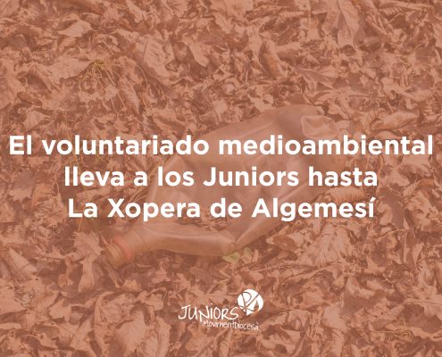 voluntariat mediambiental