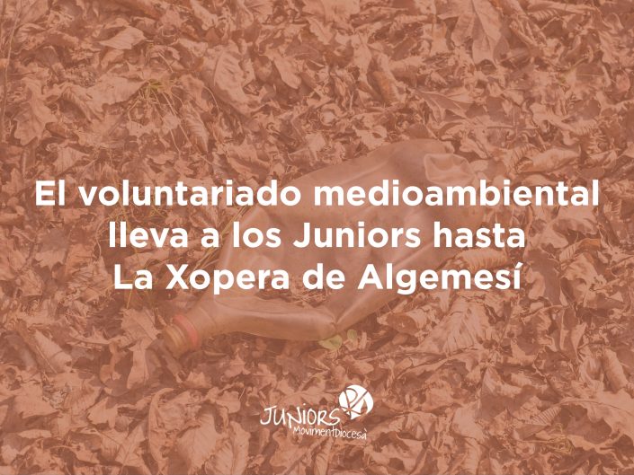 voluntariat mediambiental