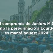 peregrinació lourdes 2024