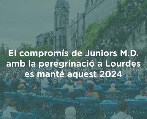 peregrinació lourdes 2024