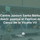 festival vicaria VII