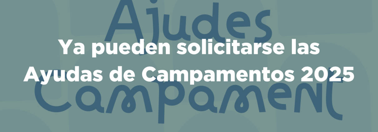 ayudas campamentos