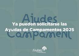 ayudas campamentos