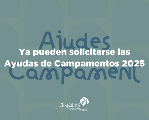ayudas campamentos