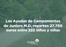 resultado ayudas campamentos c