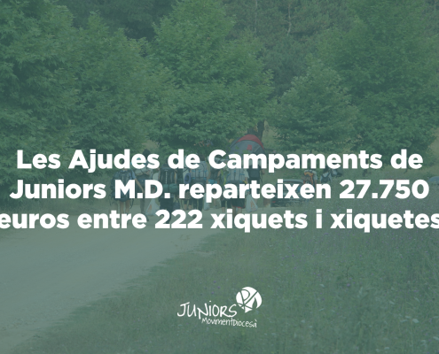 resultat ajudes campaments